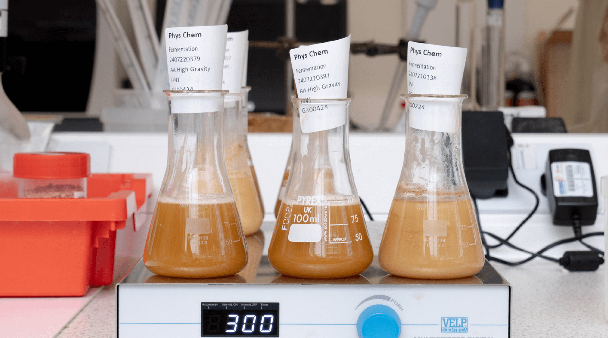 Beer being tested in a lab